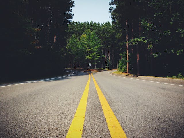 Forest Road Between Foliage Green Trees