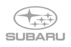 Customer Logo
